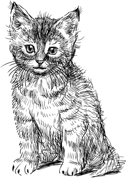 Croquis de chaton assis — Image vectorielle