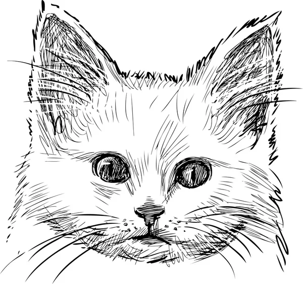 Sketch of kitten — Stock Vector
