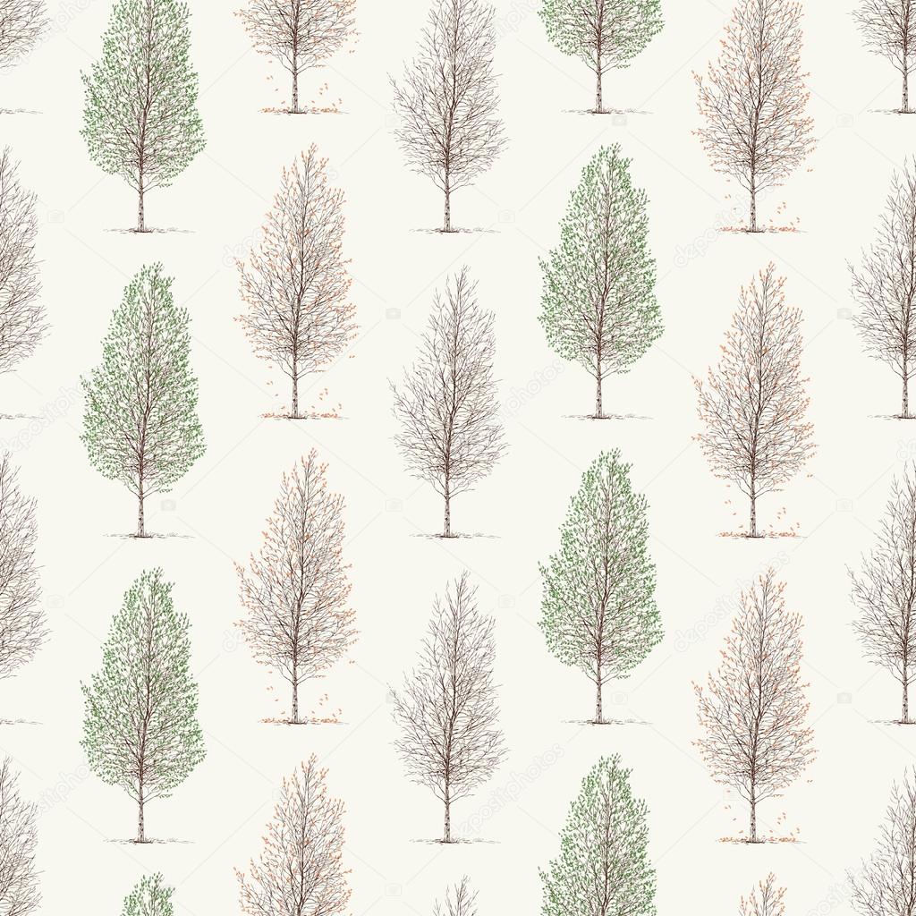 pattern of the birch trees
