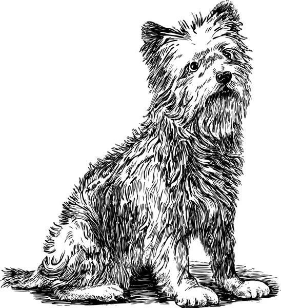 Engraçado sentado terrier — Vetor de Stock