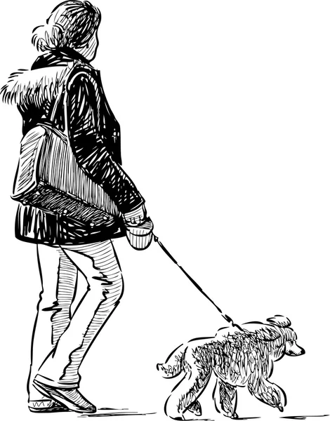 Femme avec caniche — Image vectorielle