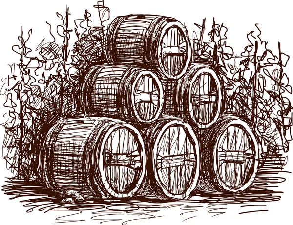 Barils de vin croquis — Image vectorielle