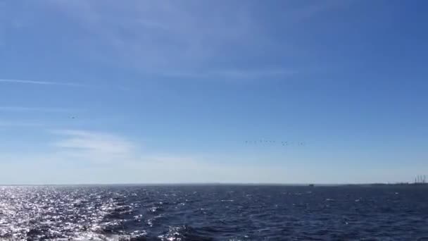 Morze krajobraz za ruchu statku — Wideo stockowe