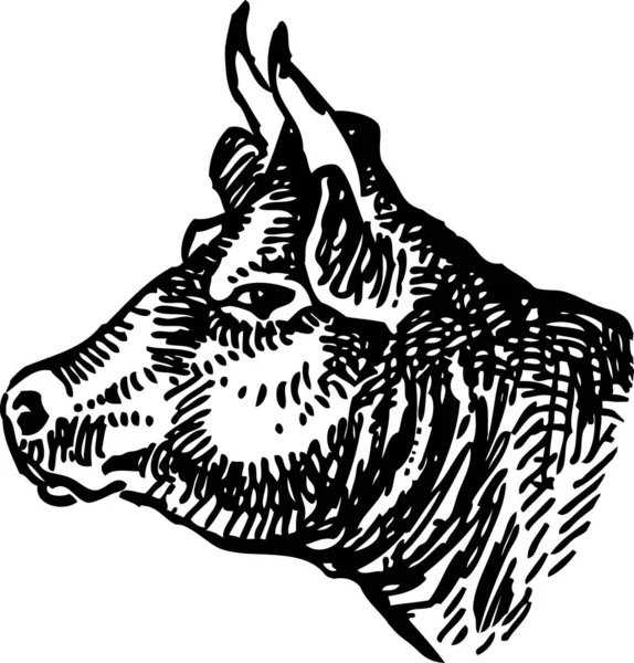 Disegno Mano Libera Del Profilo Cowhead — Vettoriale Stock