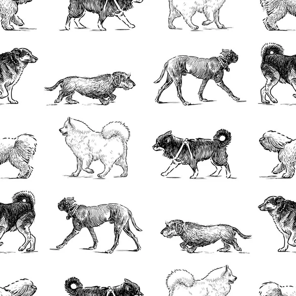 Απρόσκοπτη Φόντο Σκίτσα Διάφορα Σκυλιά — Διανυσματικό Αρχείο