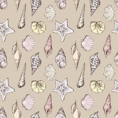 Çizimlerin kusursuz deseni farklı deniz kabukları
