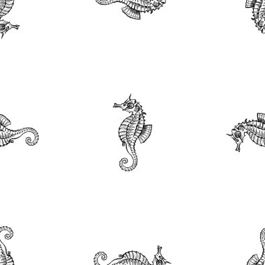 Çizimlerin kusursuz arkaplanı Çizgi film denizatı