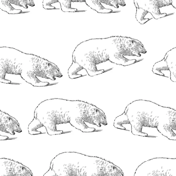 Patrón Sin Costuras Bocetos Osos Polares Caminando Filas — Archivo Imágenes Vectoriales
