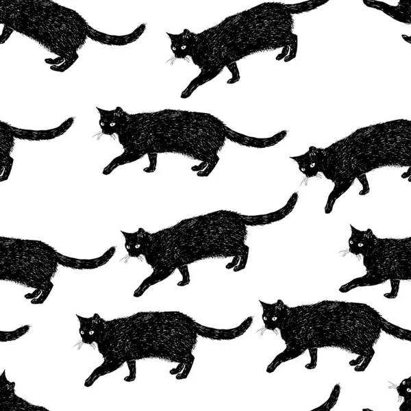 Bordes Decorativos Vectoriales Bocetos Gatos Domésticos Negros — Archivo Imágenes Vectoriales