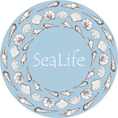 Çeşitli deniz kabukları ile dekoratif yuvarlak arkaplan