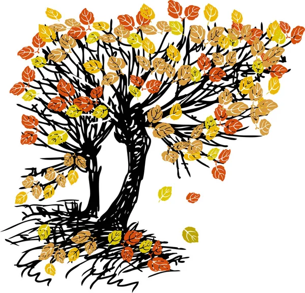 Vektorbild Von Skizze Laubbaum Mit Herbstlaub — Stockvektor