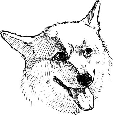 Baş neşeli Corgi köpeği çizimi.