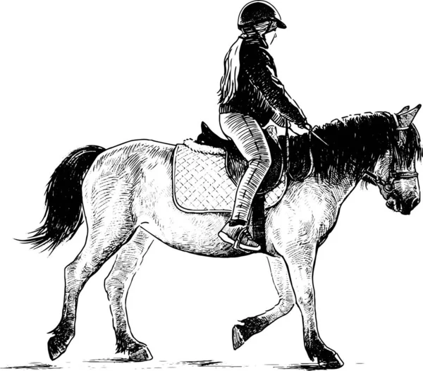 Dessin Main Levée Jeune Fille Cheval — Image vectorielle