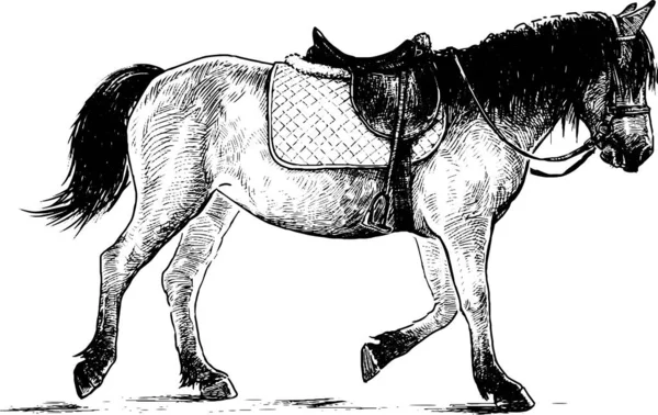 Disegno Mano Libera Cavallo Imbrigliato Passeggiate Cavallo — Vettoriale Stock