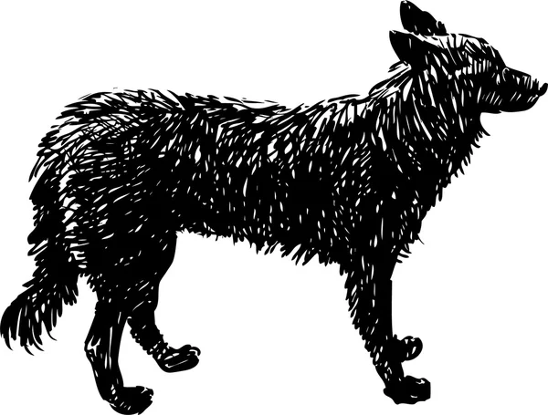 Zwarte hond schets — Stockvector