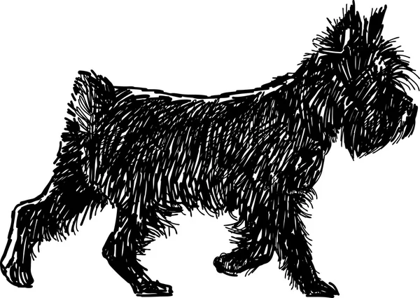 Nero terrier schizzo — Vettoriale Stock