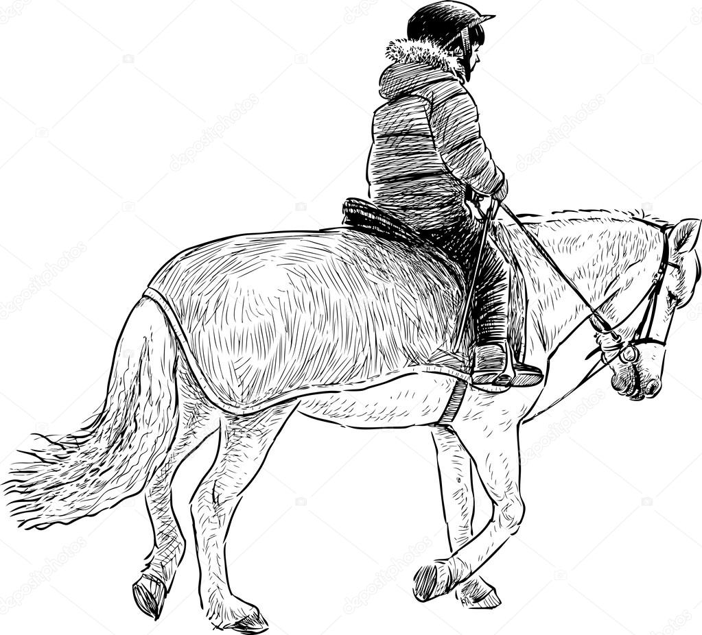 boy rides a horse