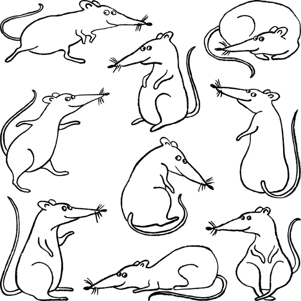 Jeu de rats dessin animé — Image vectorielle