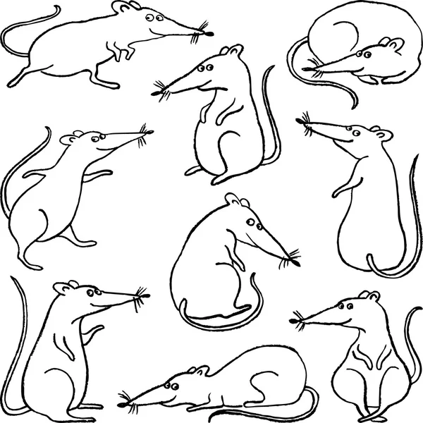 Cartoon ratten set — Stockvector