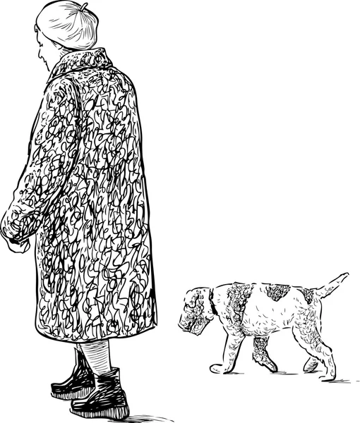 Ηλικιωμένη γυναίκα και το σκυλί για μια βόλτα — Διανυσματικό Αρχείο