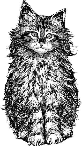 Croquis de chat moelleux — Image vectorielle