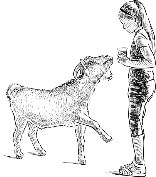Dziewczyna i koza — Wektor stockowy