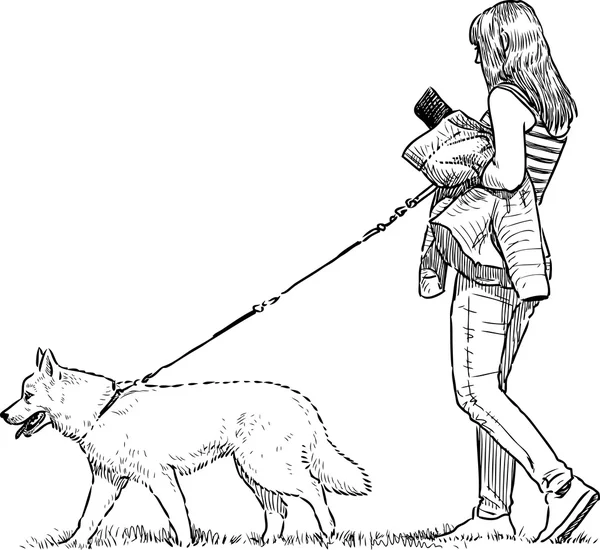 Flickan och hennes husdjur — Stock vektor