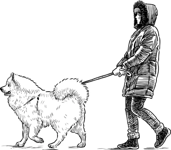Flickan och hennes hund på en promenad — Stock vektor