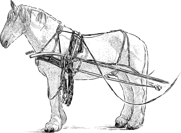 Croquis de cheval harnaché — Image vectorielle