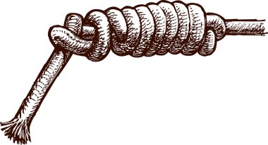 Deniz düğüm kroki