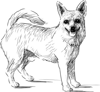 kucak köpeği kroki