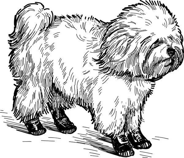 Perro faldero para un paseo — Archivo Imágenes Vectoriales