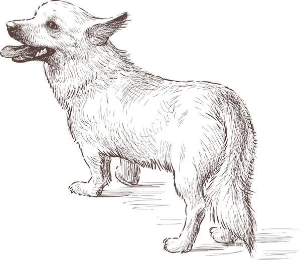 Één kleine hond — Stockvector