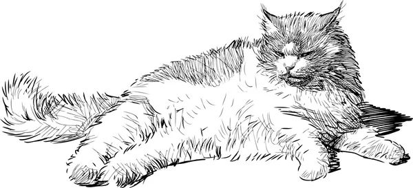 Лежачая домашняя кошка — стоковый вектор