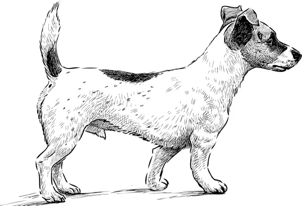 Милий собачка — стоковий вектор