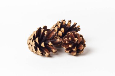 Beyaz arka planda izole edilmiş köknar kozalakları