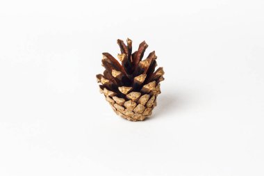 Beyaz arka planda izole edilmiş köknar kozalakları