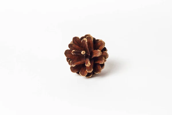 Isolated Fir Cones White Background — Stock Photo, Image