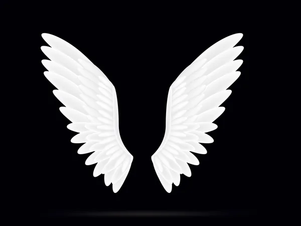 Siyah bir arka plan üzerinde gerçekçi beyaz kanatları