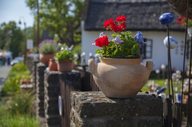 Pitoresk flowerbed