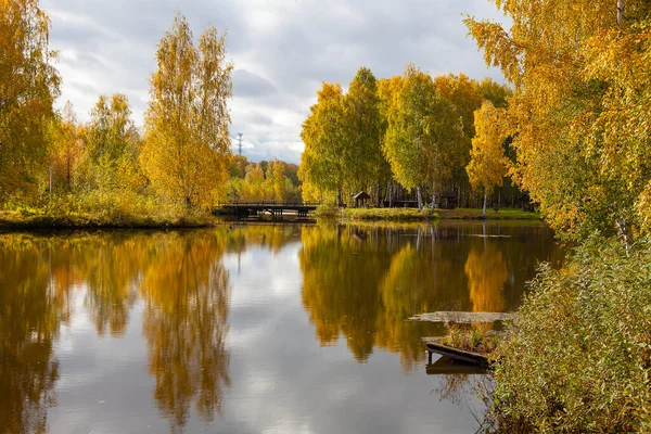 Paisagem Outono Árvores Com Folhagem Amarela Crescem Nas Margens Lago — Fotografia de Stock