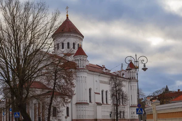 Cathédrale Prechistensky Vilnius Lituanie — Photo
