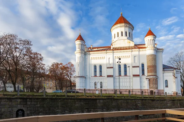 Pistensky Cathedral Orlux Cathedral Вильнюсе Литва — стоковое фото