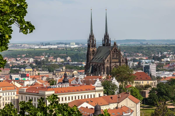 Çek Cumhuriyeti, Brno 'daki Aziz Peter ve Paul Katedrali' nin manzarası.
