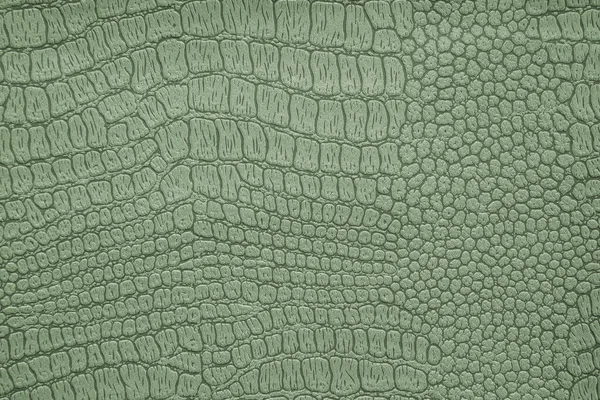 Background image - artificial textured crocodile skin green.