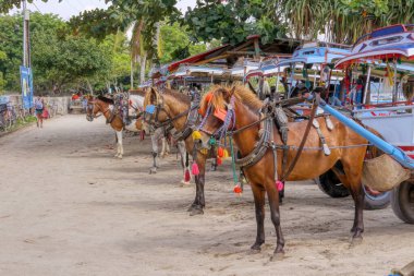 Hint Okyanusu 'ndaki Gili Hava Adası. 03.01.2017 Pony taksisi adada. Özel nakliye. Adada yakıt ve kayganlaştırıcı yok..