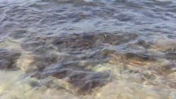Havsbris Svarta Havet Högvatten Havsvattnet Lugnt Och Lugnt — Stockvideo