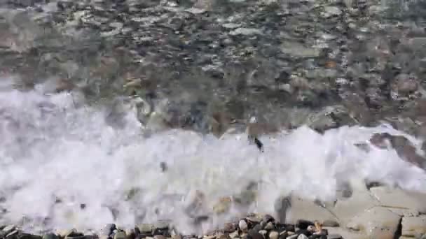 Havsbris Svarta Havet Högvatten Havsvattnet Lugnt Och Lugnt — Stockvideo