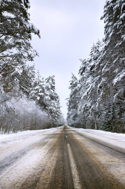 Ormanın içinden otoyol. Kış, yol, Spruce Ormanı. Kış, soğuk manzara. Şiddetli kar yağışıweather condition.