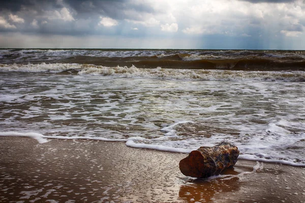 Storm Het Strand Modderige Zee Gooit Een Boomstam Kust — Stockfoto